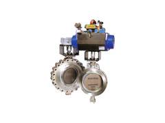 Two-eccentric valves 
